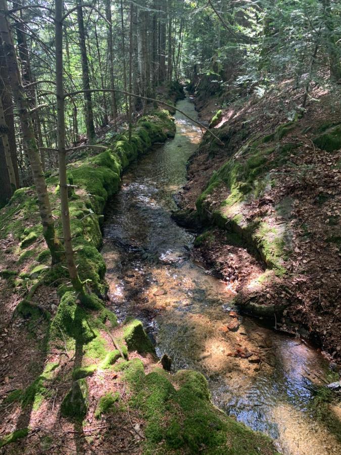 Gite " Oree Des Bois" Vertolaye Экстерьер фото