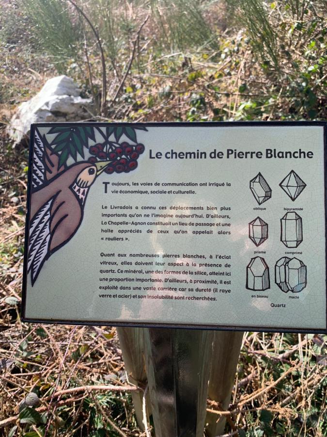 Gite " Oree Des Bois" Vertolaye Экстерьер фото